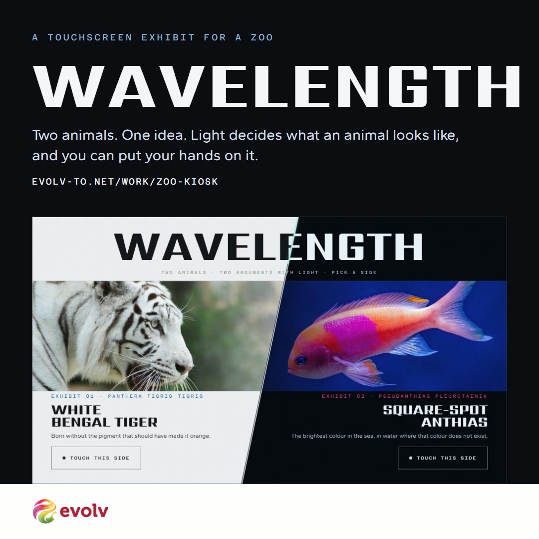 Wavelength feed graphic