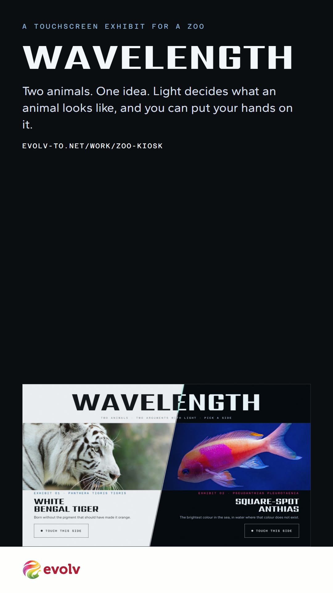 Wavelength story graphic